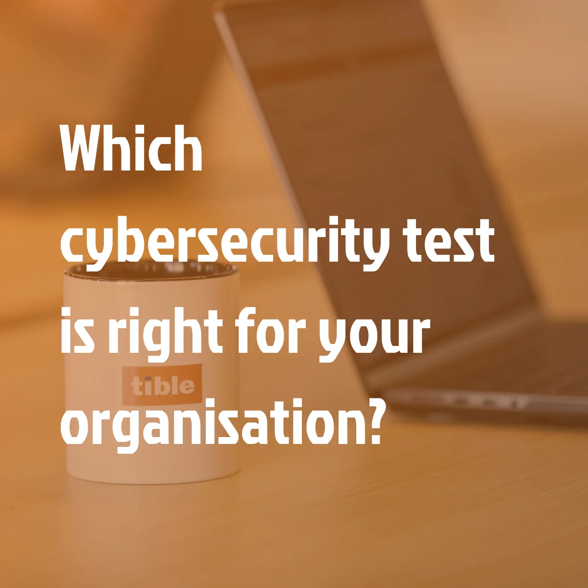 How to Choose the Right Cybersecurity Test? | Tible's Comprehensive Guide